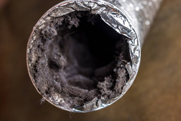 Best Ductwork Cleaning Services  in San Diego, TX